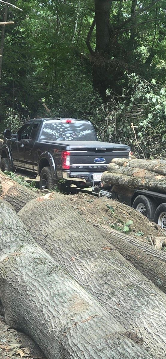 Site Preparation for MJS Excavating in Hardwick, MA