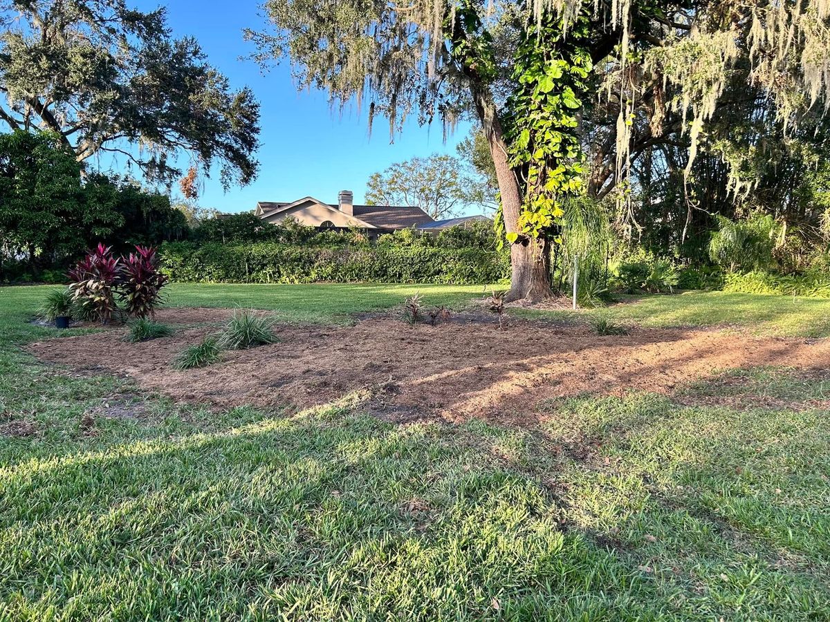 Stump Removal for Greene Acres Stump Grinding in Plant City, FL