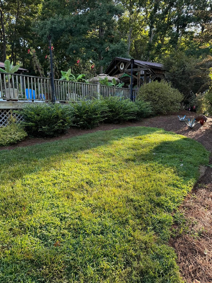 Shrub Trimming for Piedmont Lawn and Landscaping in Lexington, NC