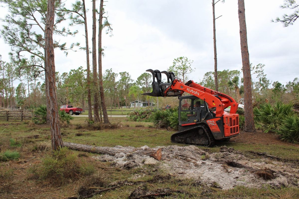 Emergency Tree Services for American Tree Masters in Alvin, TX