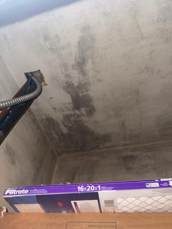Mold Remediation for Titan Remediation Industries in West Palm Beach, FL