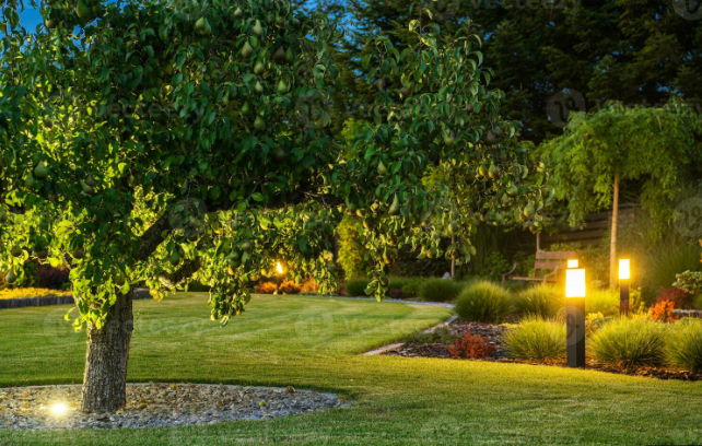 Landscape Lighting for Adams Landscape Management Group LLC. in Loganville, GA