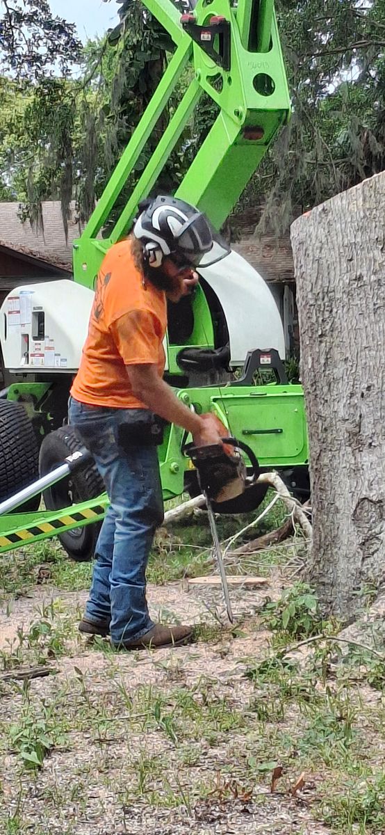 Tree Removal for Daniel Hickey’s Tree Service in DeLand, FL