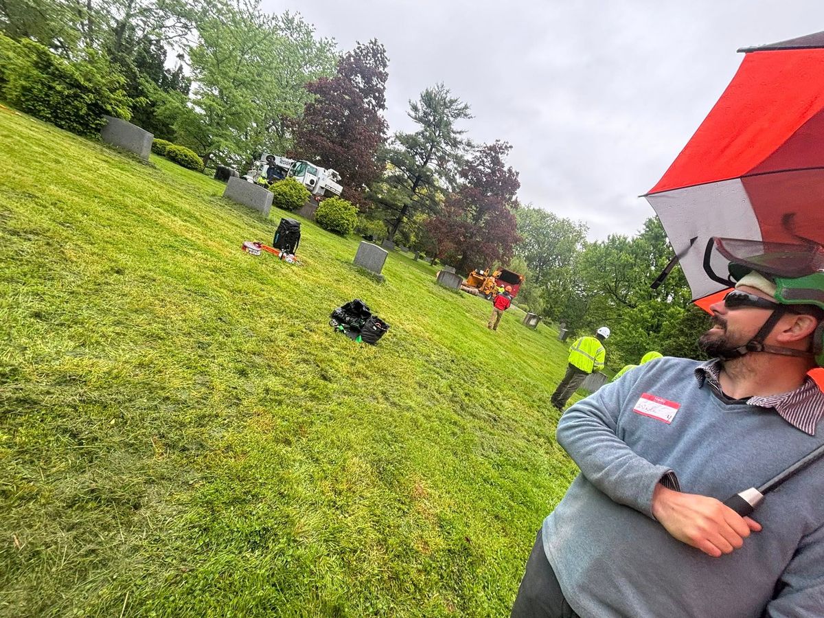 Tree Pruning for T's Trees in Albany, NY