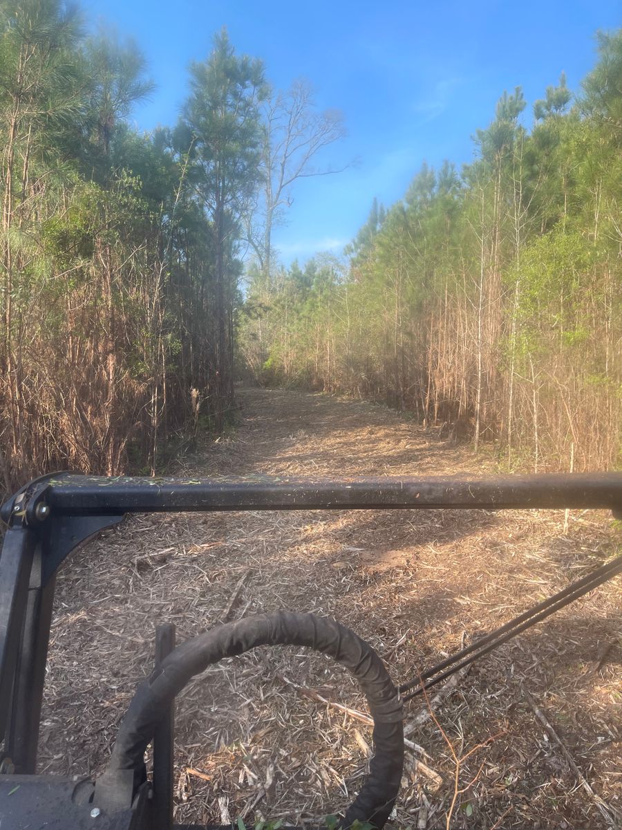 Forestry Mulching for KLNAX Enterprises Inc. in Social Circle, GA