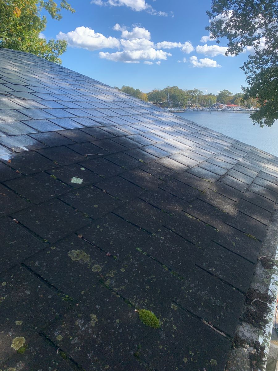 Pressure Washing for Calvert Clean Up, Pressure Washing & Hauling LLC in Pasadena, MD