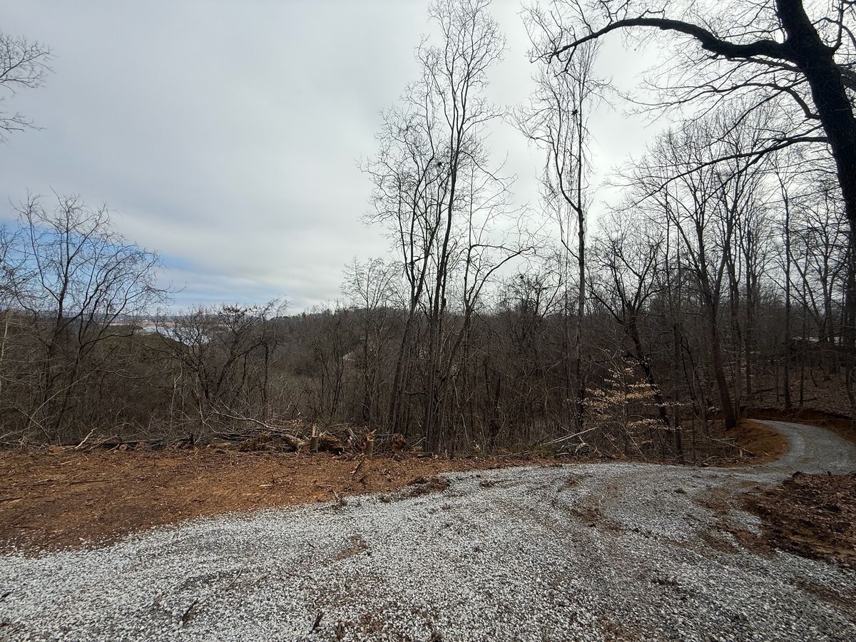 Land Clearing for Dutch Mountain Excavating in Sevierville, TN
