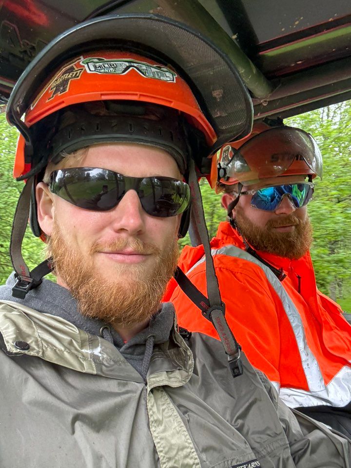 Tree Pruning for T's Trees in Albany, NY