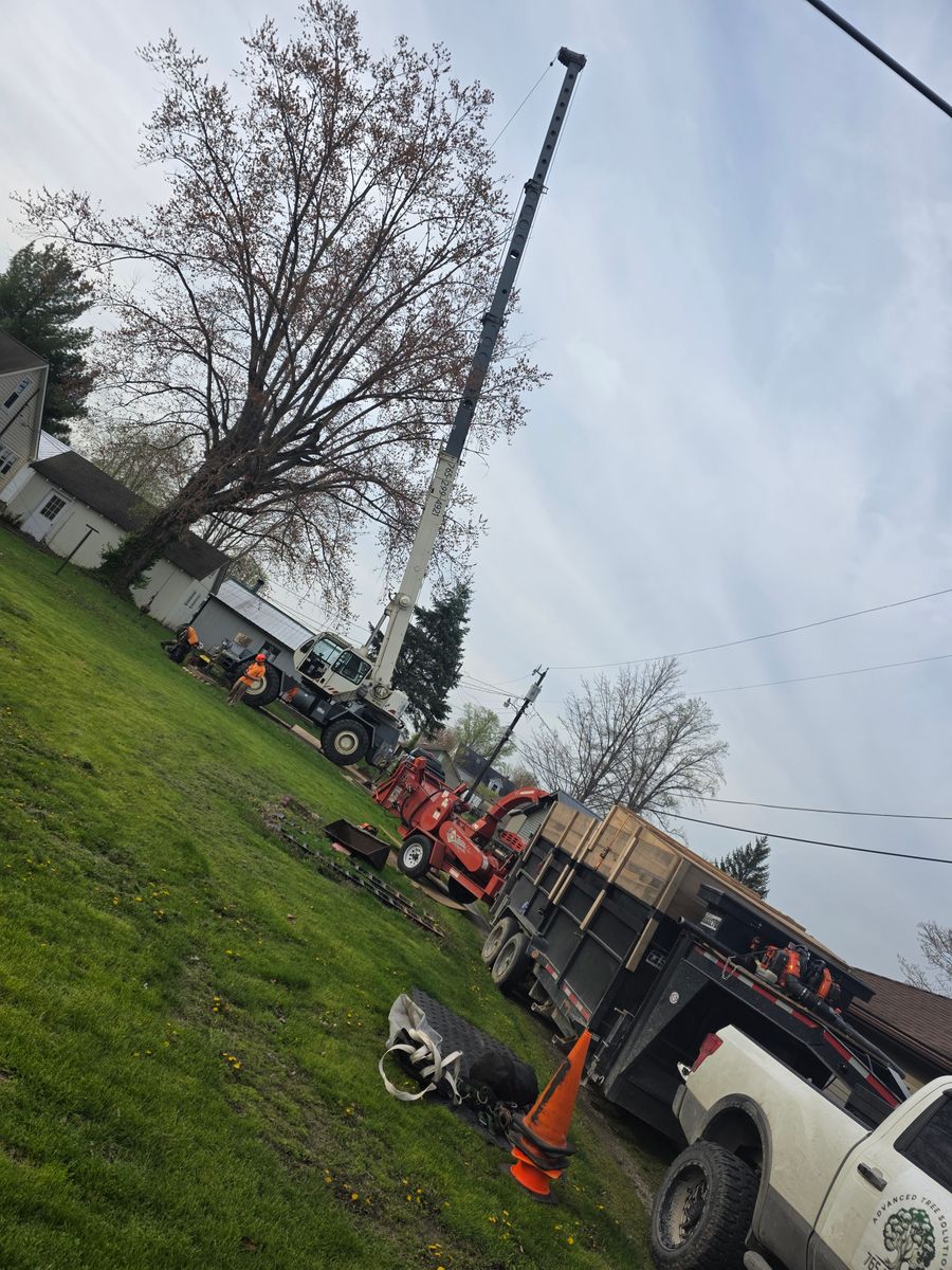 Tree Removal for Advanced Tree Solutions in Rockville, IN