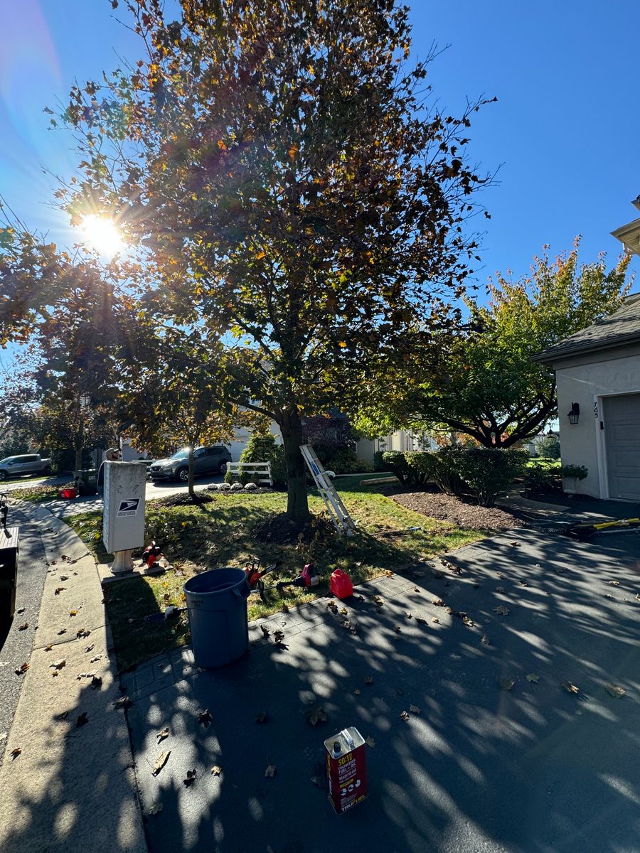 Fall Clean Ups for Landscape & Lawn Care Pros in Allentown, PA