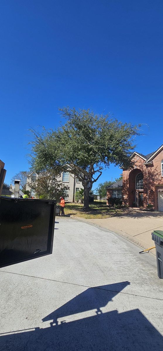 Fall Clean Up for Servin's Tree Care  in Houston, TX