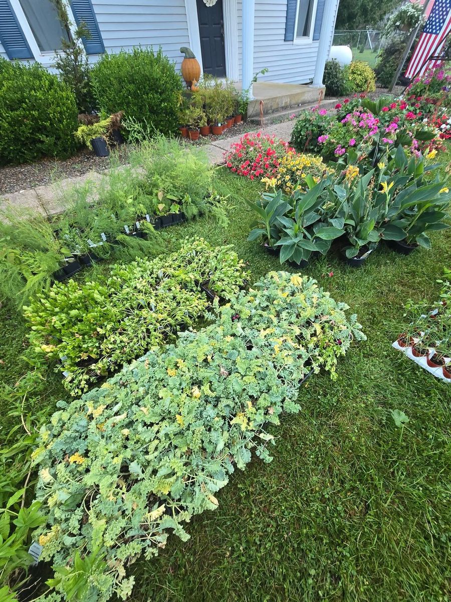 Landscape Installation for Down Home Landscaping in Stillwater, PA
