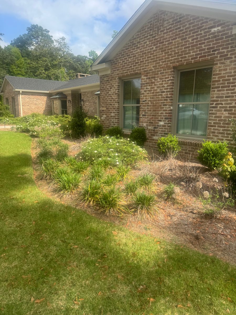 Lawn Care and Maintenance for Johnson Lawn Care and Maintenance in Mobile, AL
