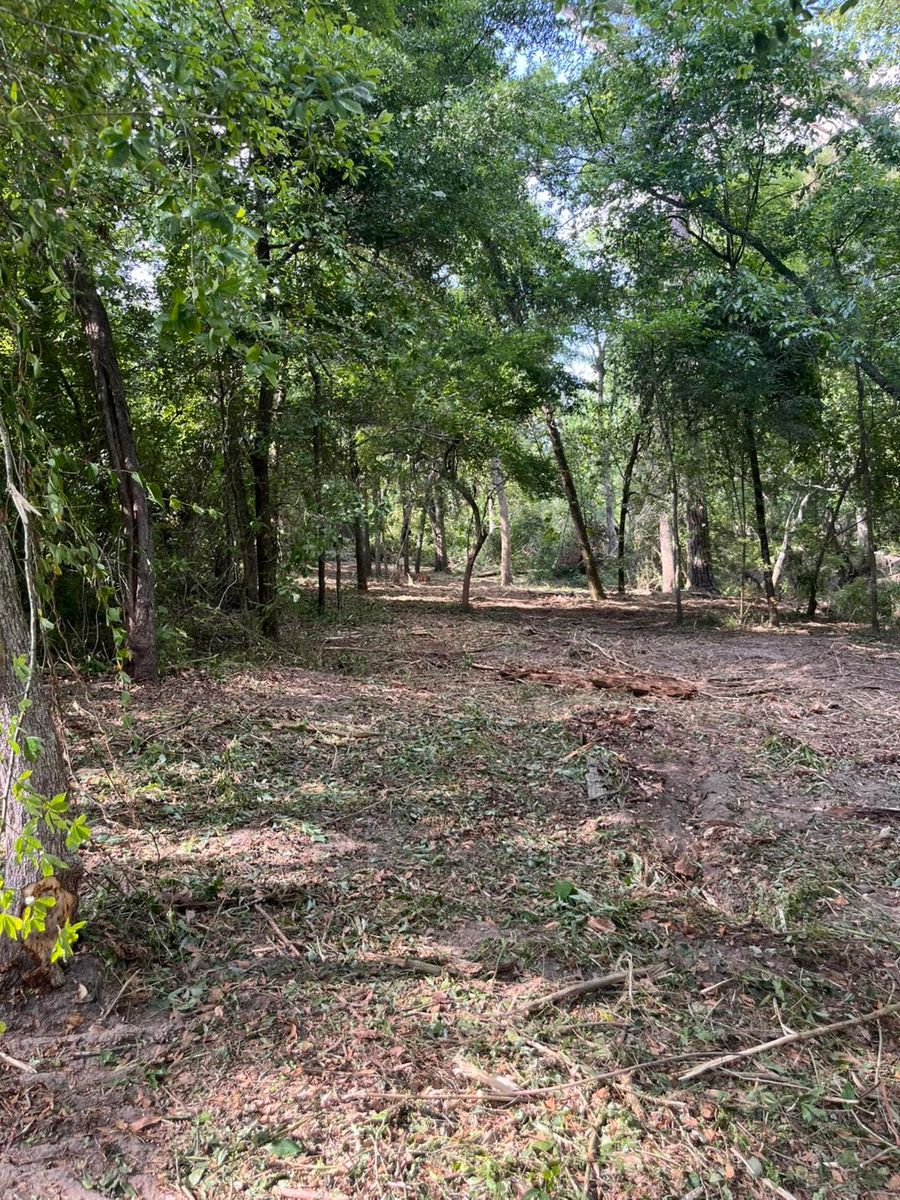 Stump Grinding and Removal for Pinewood Land Management LLC in Nashville, GA