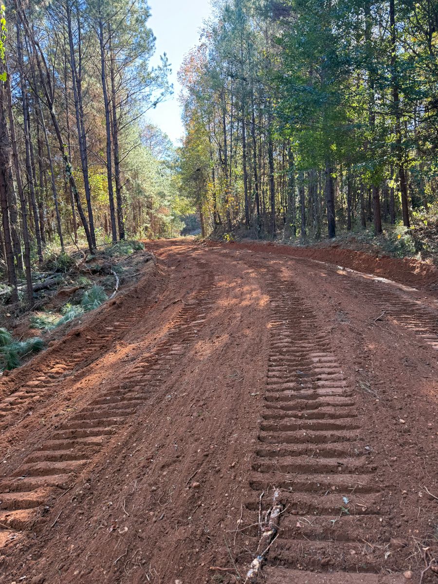 Land Clearing & Demolition for Central Alabama Site Works in Selma, AL