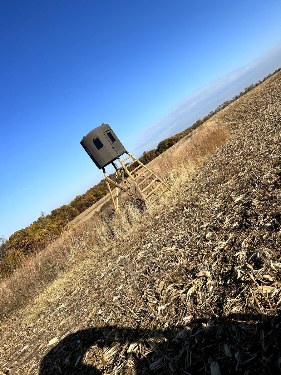 Hunting Stands/Tower Blind Construction for Two Young Bucks in Leon, IA