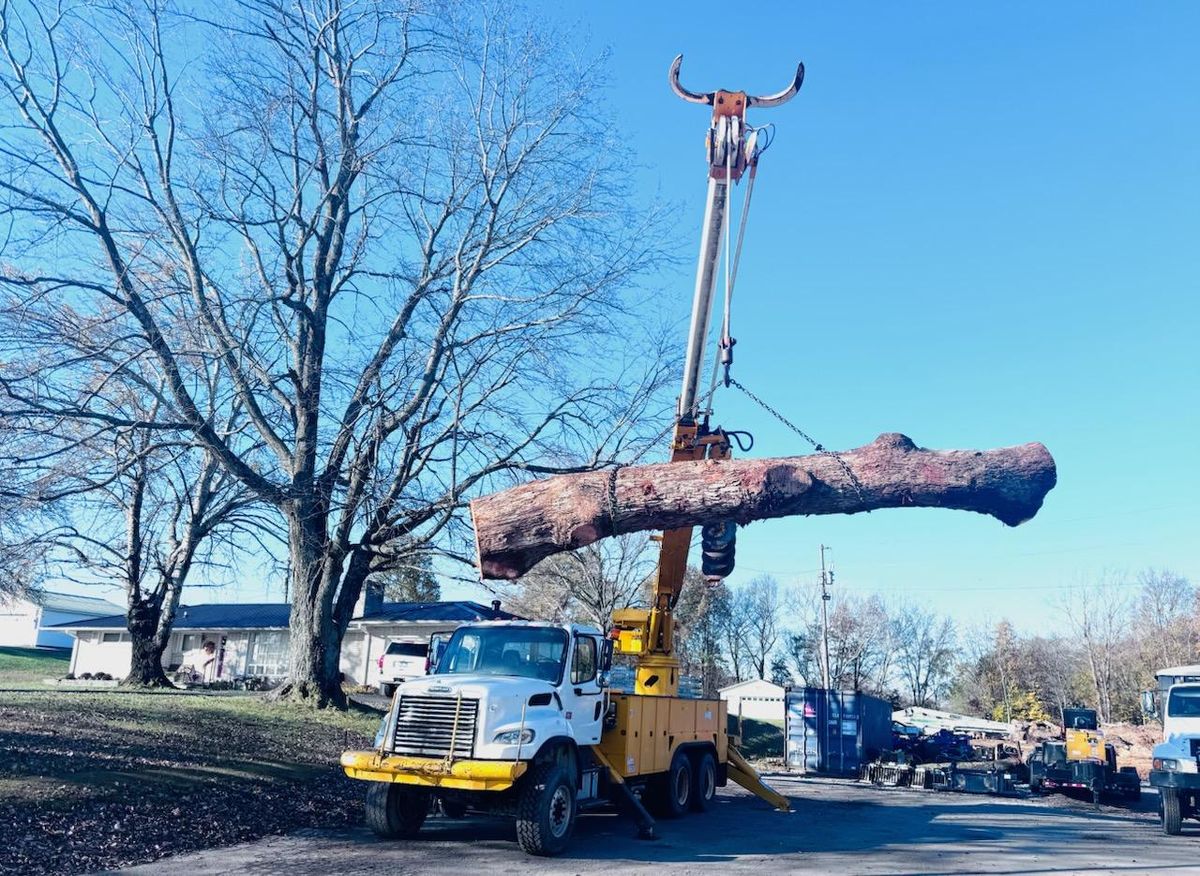 Tree Removal for Lamb Brothers Clearing in Murray, KY