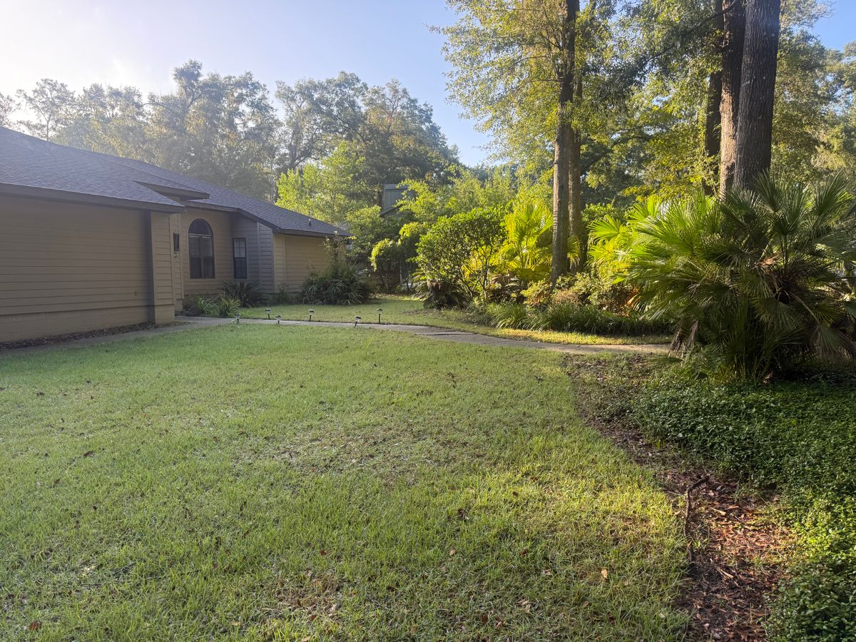 Landscape & Property Cleanup for Kings Legacy Services in Gainesville ,  FL