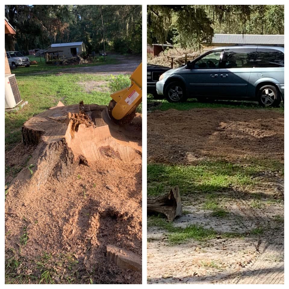 Stump Removal for Alford’s Tree and Stump Services LLC in Lake City, FL