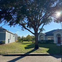 Shrub Trimming for Efficient and Reliable Tree Service in Lake Wales, FL