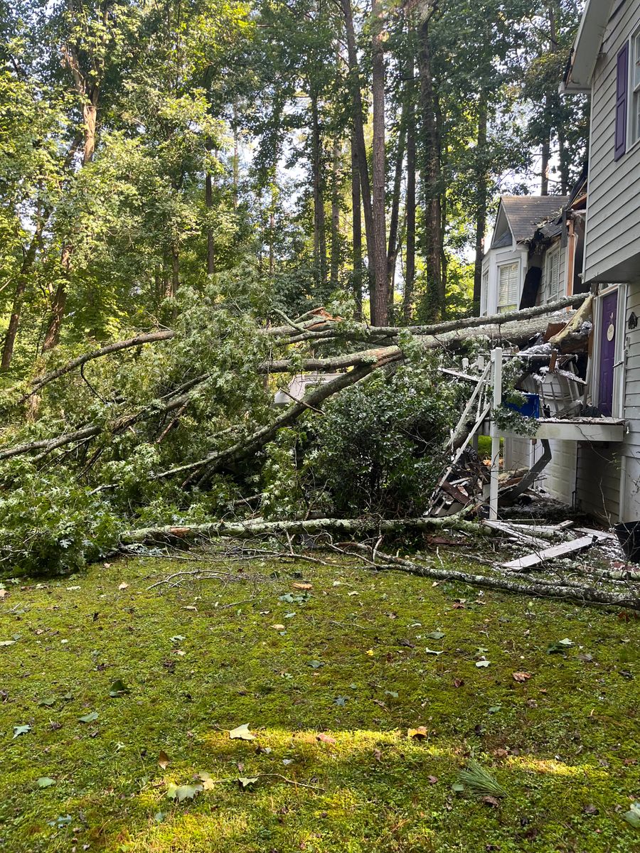 Tree removal and cleanup for Reed Construction Services LLC in Cartersville, GA