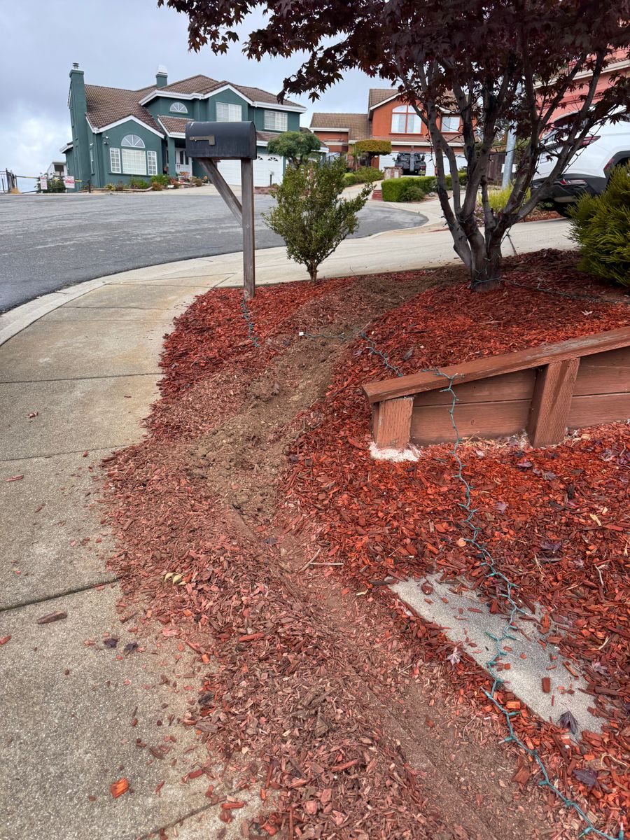 Mulch Installation for CBA Landscaping in Hayward, CA
