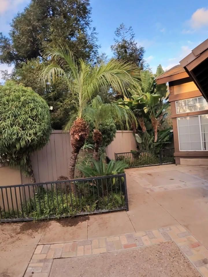 Tree & Shrub Care for Benito's Gardening in San Juan Capistrano, CA