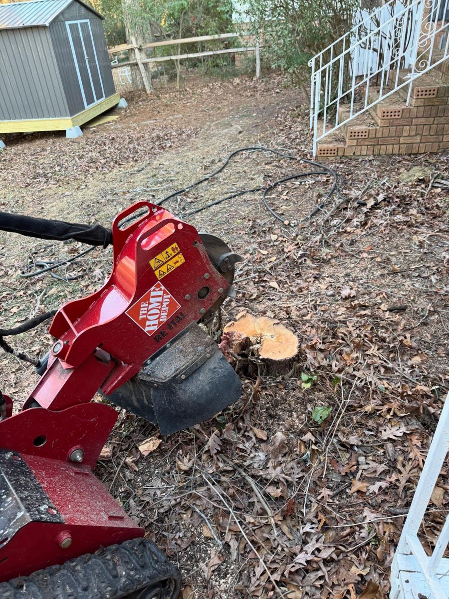 Fall Clean Up for Shang's Landscaping Service in Columbia, South Carolina