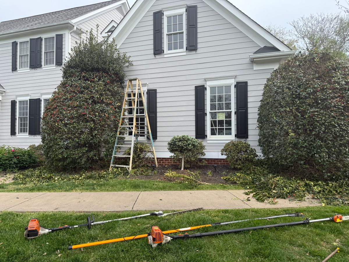 Trimming for NonStop Landscaping in Harrisonburg, VA