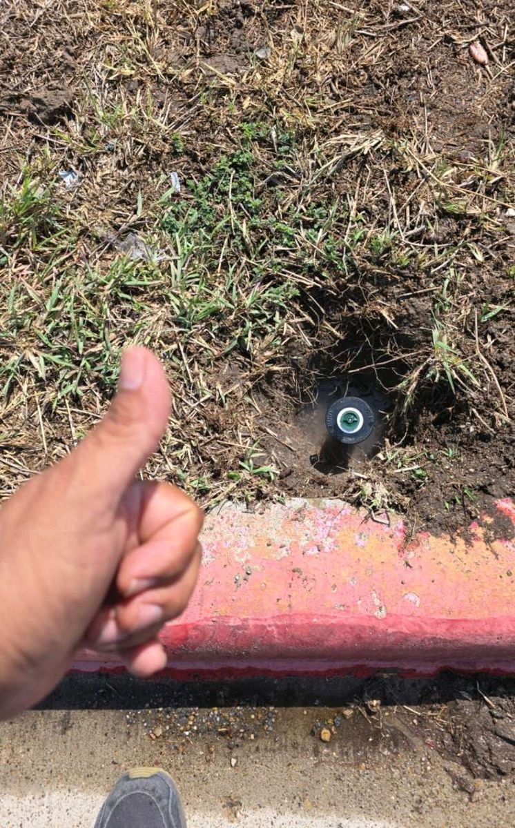 Commercial Landscaping for Pro Lawn Care RGV in McAllen, TX