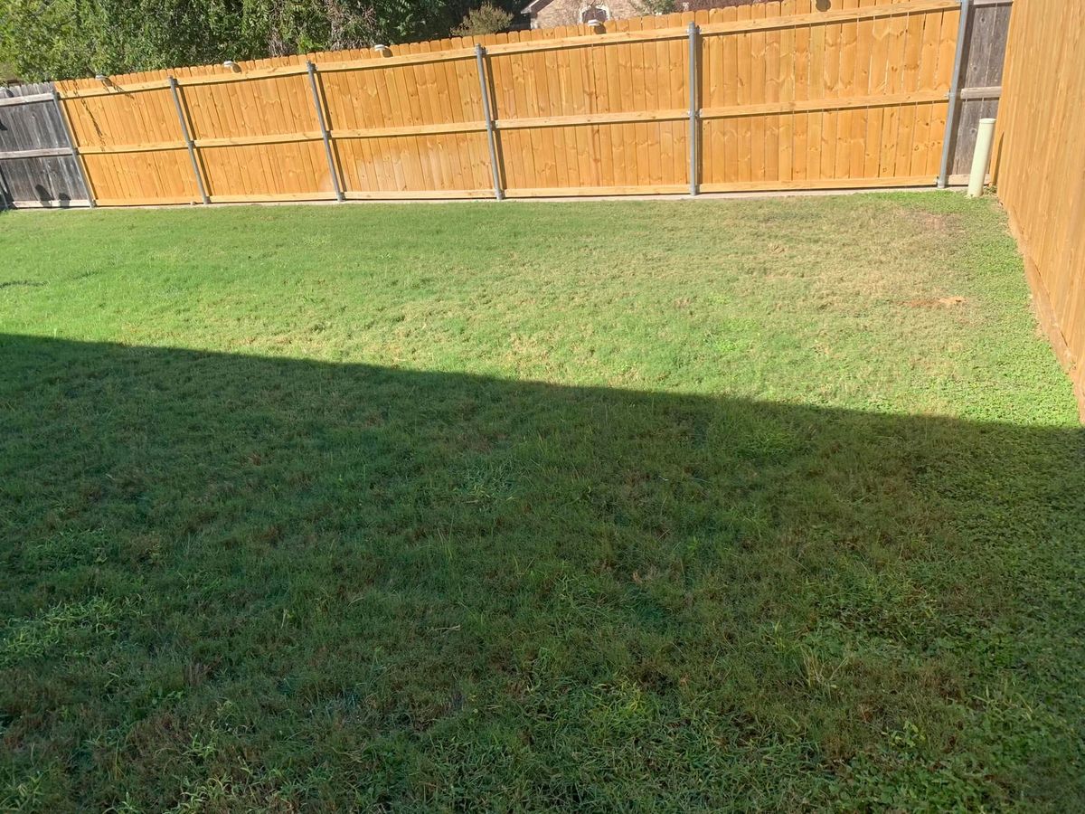 Lawn Maintenance for Scalpel Lawn Service in Temple, TX