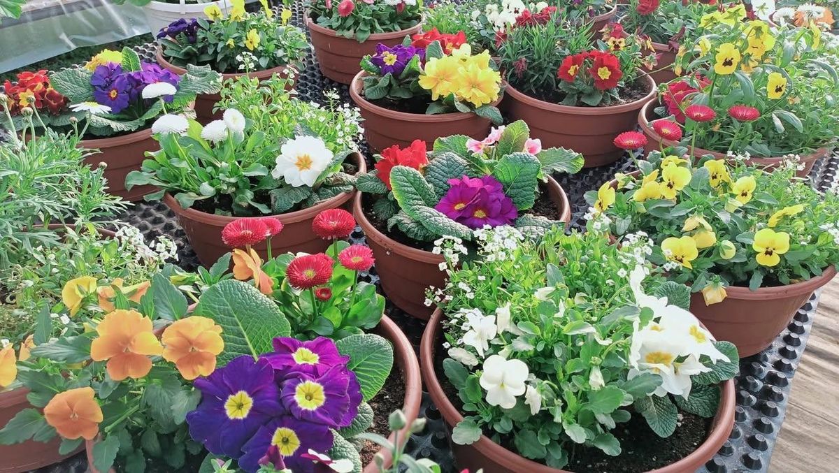 Mulch Installation for Full Armor Landscapes in League City, TX