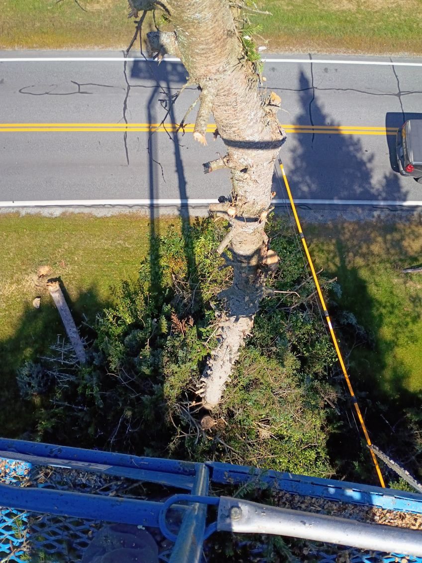 Tree Removal and Trimming for First Response Reconstruction LLC in New Hampshire, NH