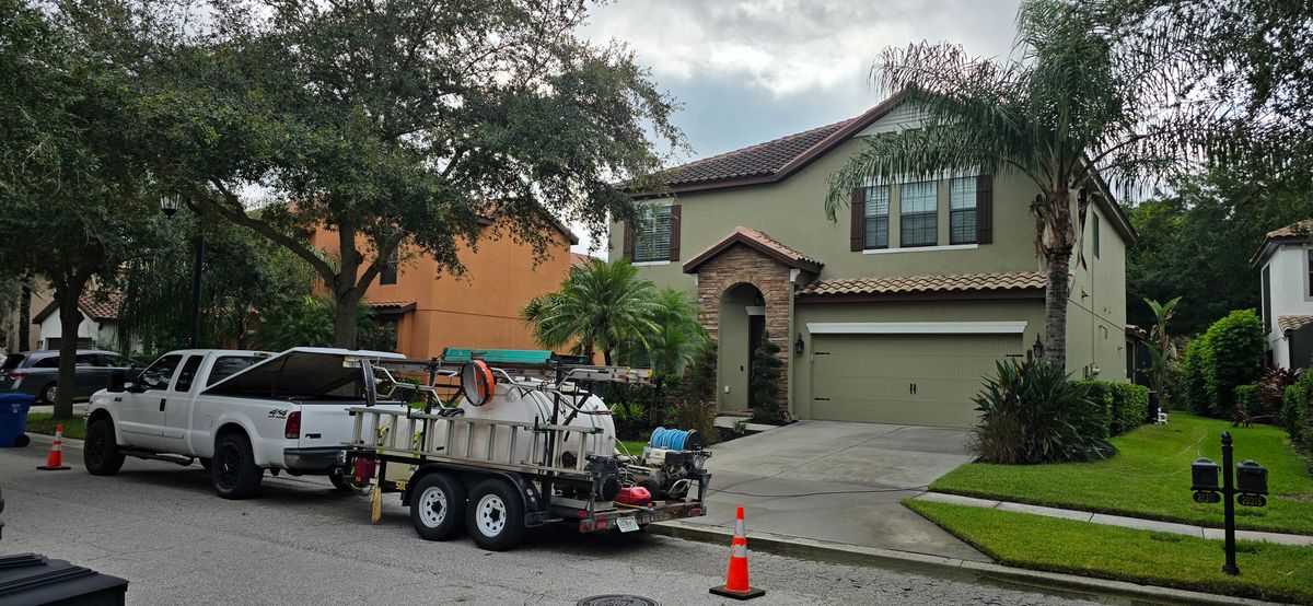 Driveway and Sidewalk Pressure Washing for Blue Stream Roof Cleaning & Pressure Washing in Tampa, FL