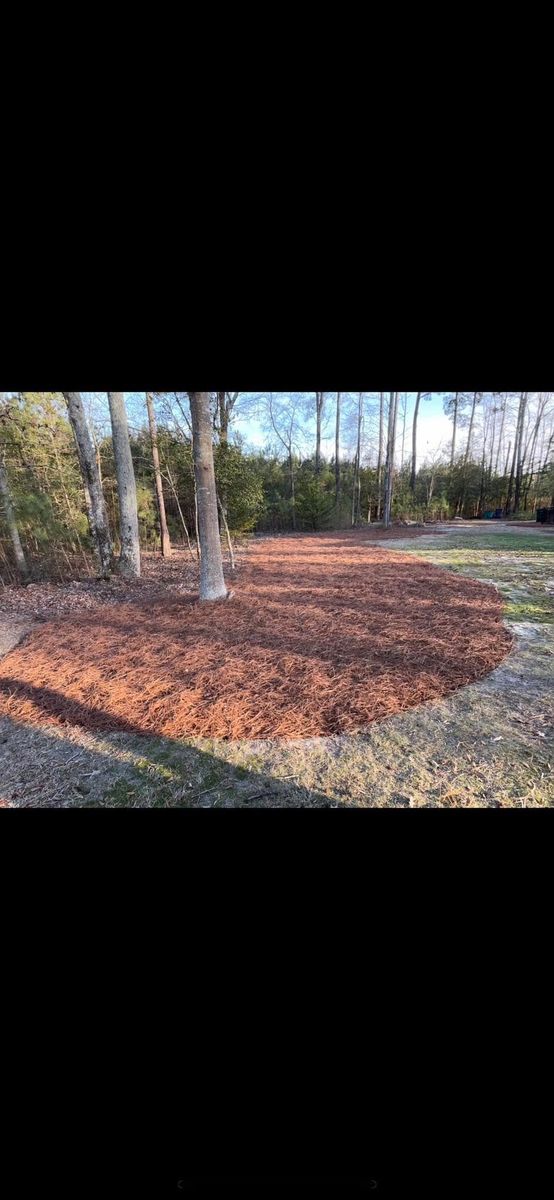 Mulch Installation for Henry’s Lawn Care & Landscaping, LLC in Wendell, NC