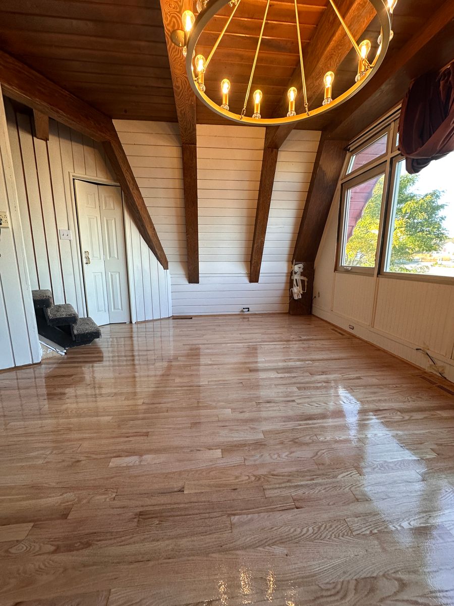 Cleaning Services for Alpha Flooring & Painting Services. in Centennial, CO