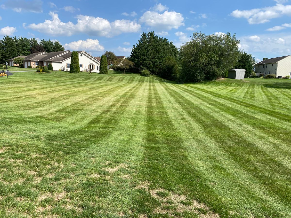 Sod Install for Backyard Acres Lawncare LLC in Chambersburg, PA