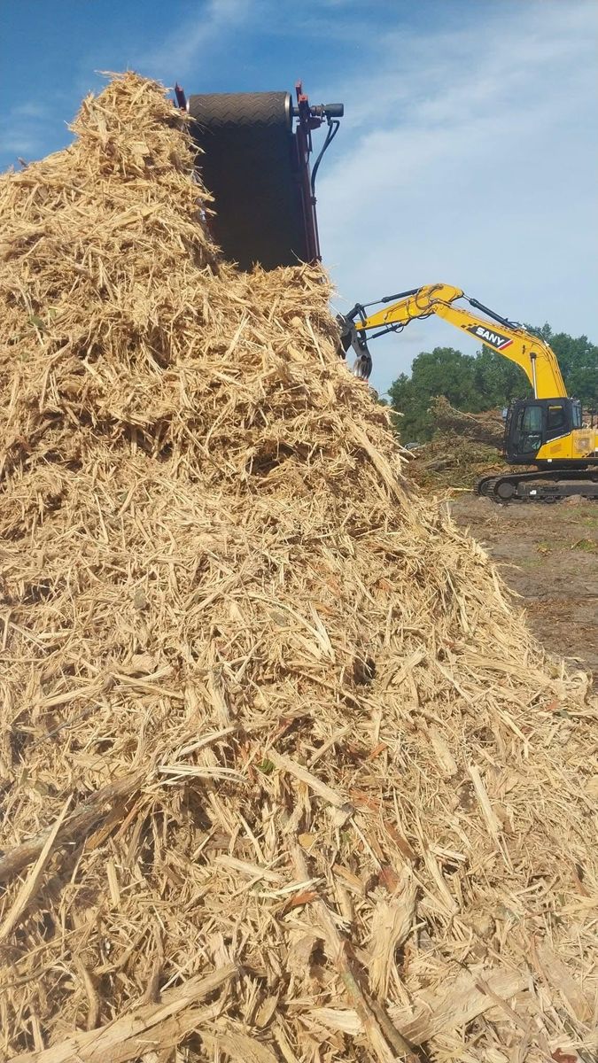Forestry Mulching for Daniel Hickey’s Tree Service in DeLand, FL