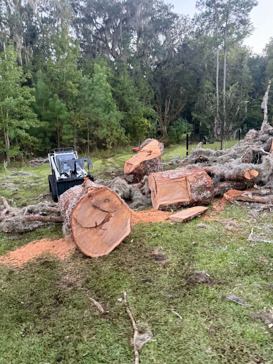 Tree Removal for Hawkins Tree Service & Land Management in Richmond Hill, GA