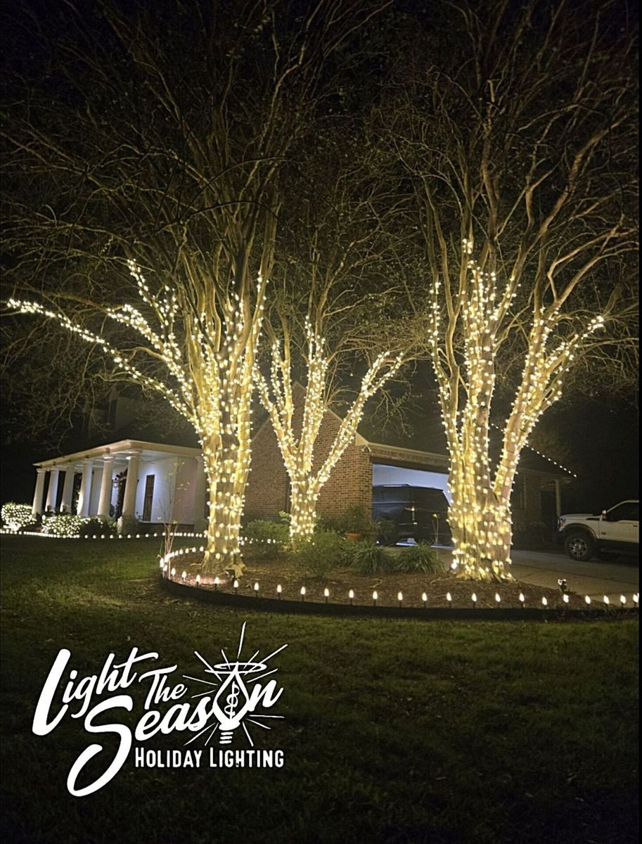 Professional Tree Decorating for Light the Season in Lafayette Parish,  LA