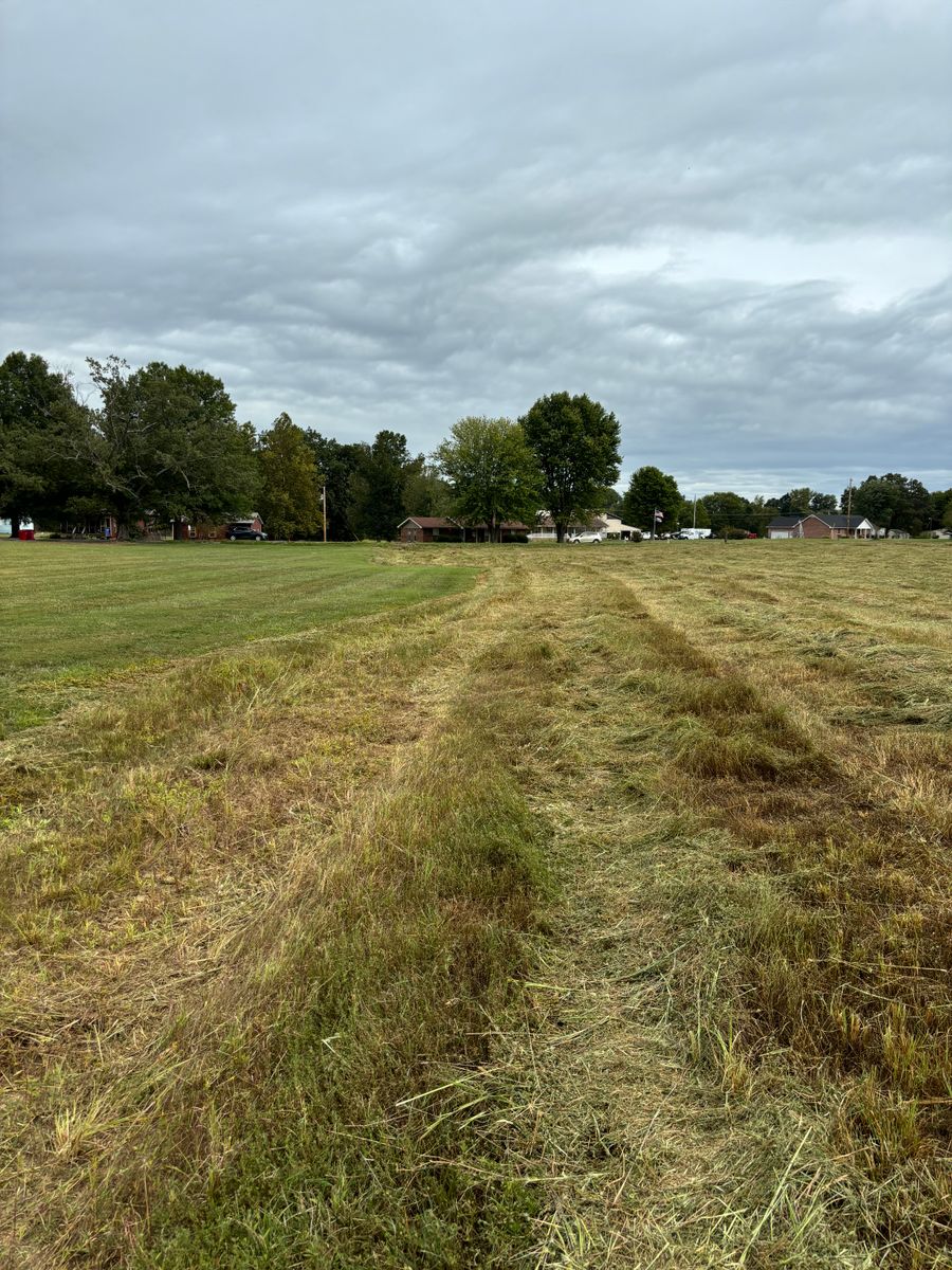 Land Clearing for Gregory Grass and Lawn in Lafayette, TN