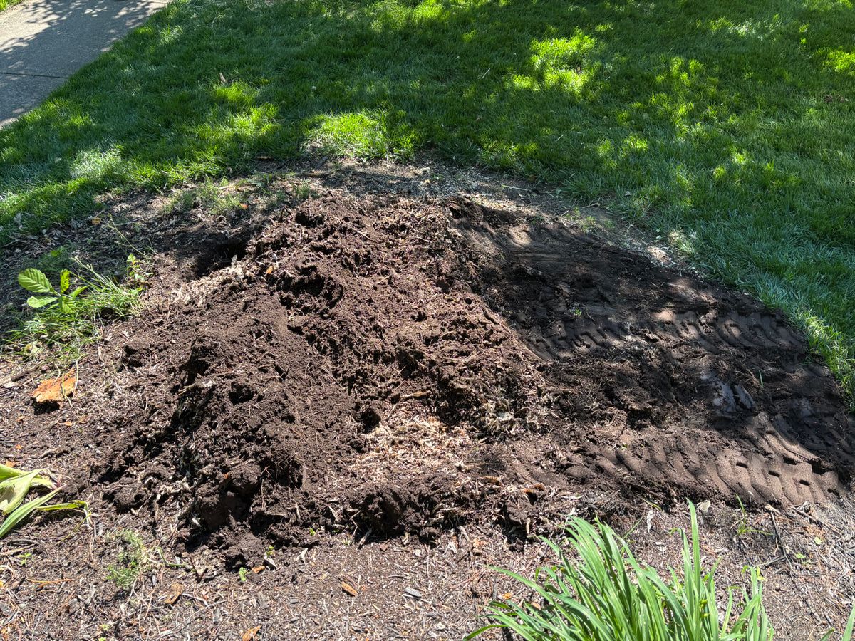 Stump Removal for Conrad's Stump Removal in Columbus, IN