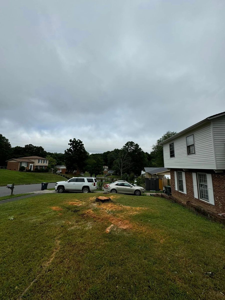 Stump Removal for Meade tree service in Greensboro, NC