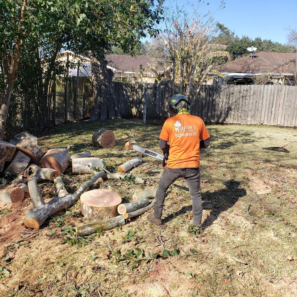 Tree Trimming for Servin's Tree Care  in Houston, TX