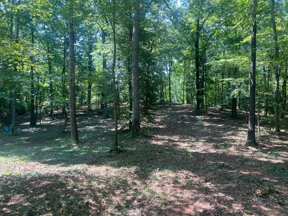 Forestry Mulching for Cedar Point Land Management in Richmond, VA