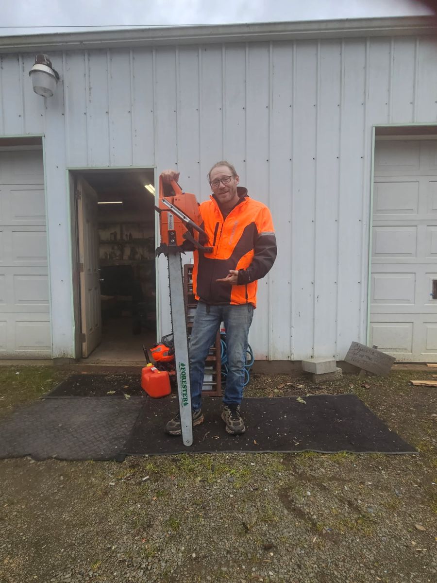 Tree Trimming for Trio Tree Services in Ocean Park, WA