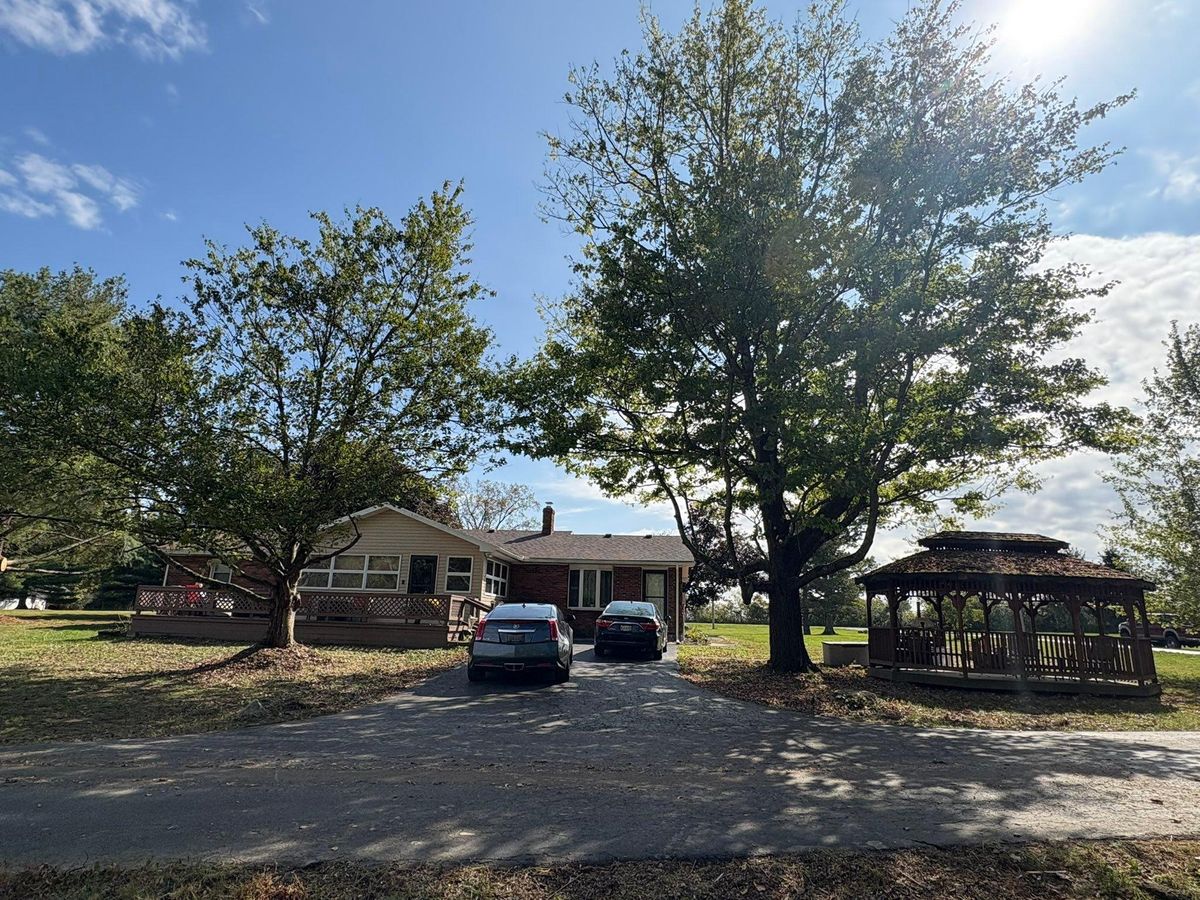 Tree Trimming for Dig-It Tree Company in Mason, OH