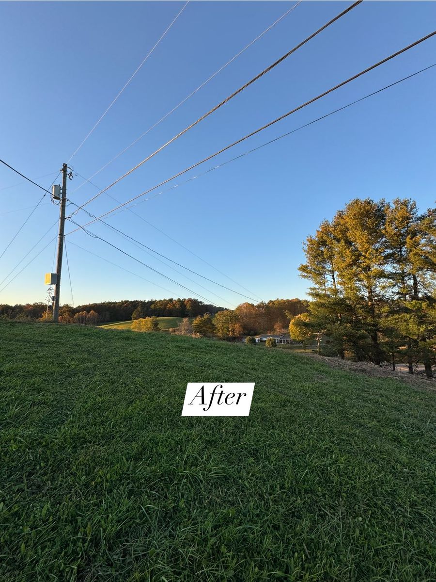 Vegetation Removal for Mountain Goat Land Management in Galax, VA