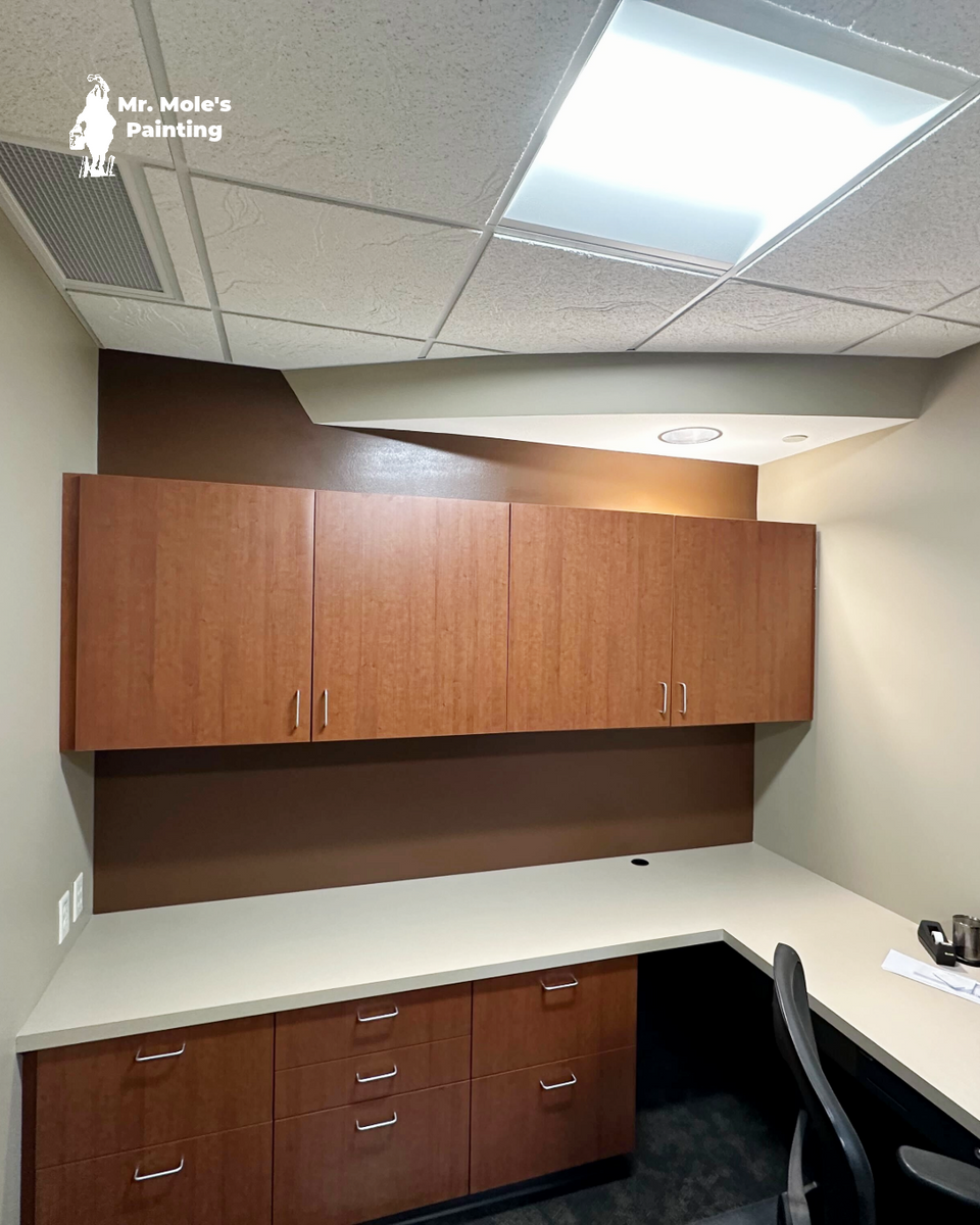 Commercial Painting for Mr. Mole's Painting in Bemidji, MN