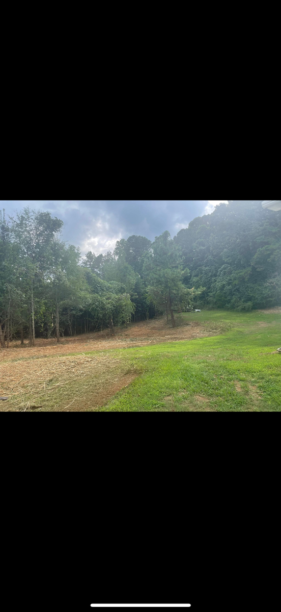 Forestry mulching for T Crane Grading LLC in Clarkesville, GA